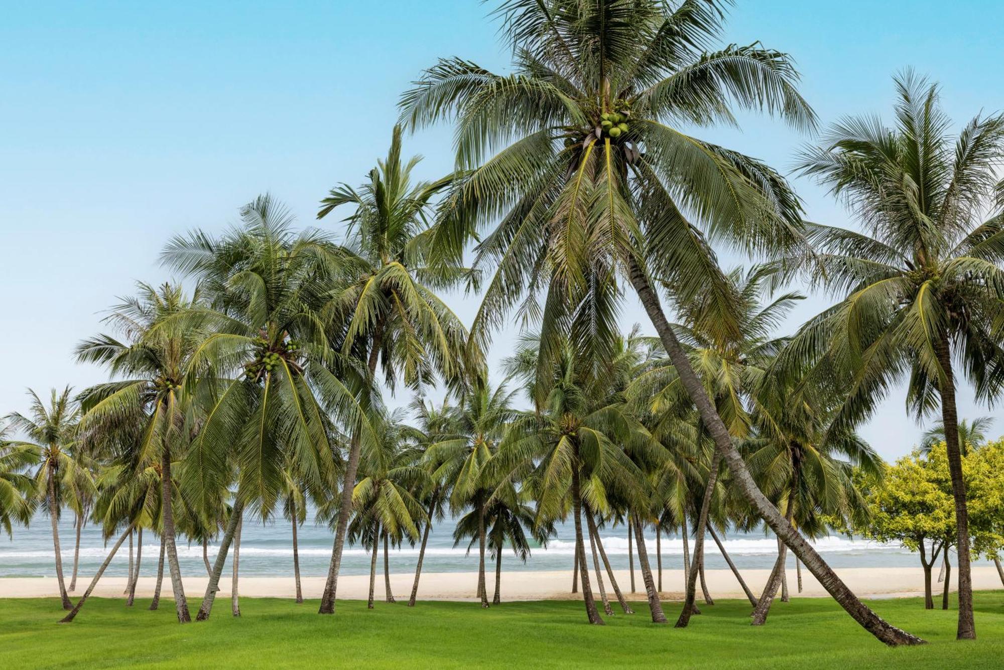 Raffles Hainan Clear Water Bay Lingshui  Eksteriør billede
