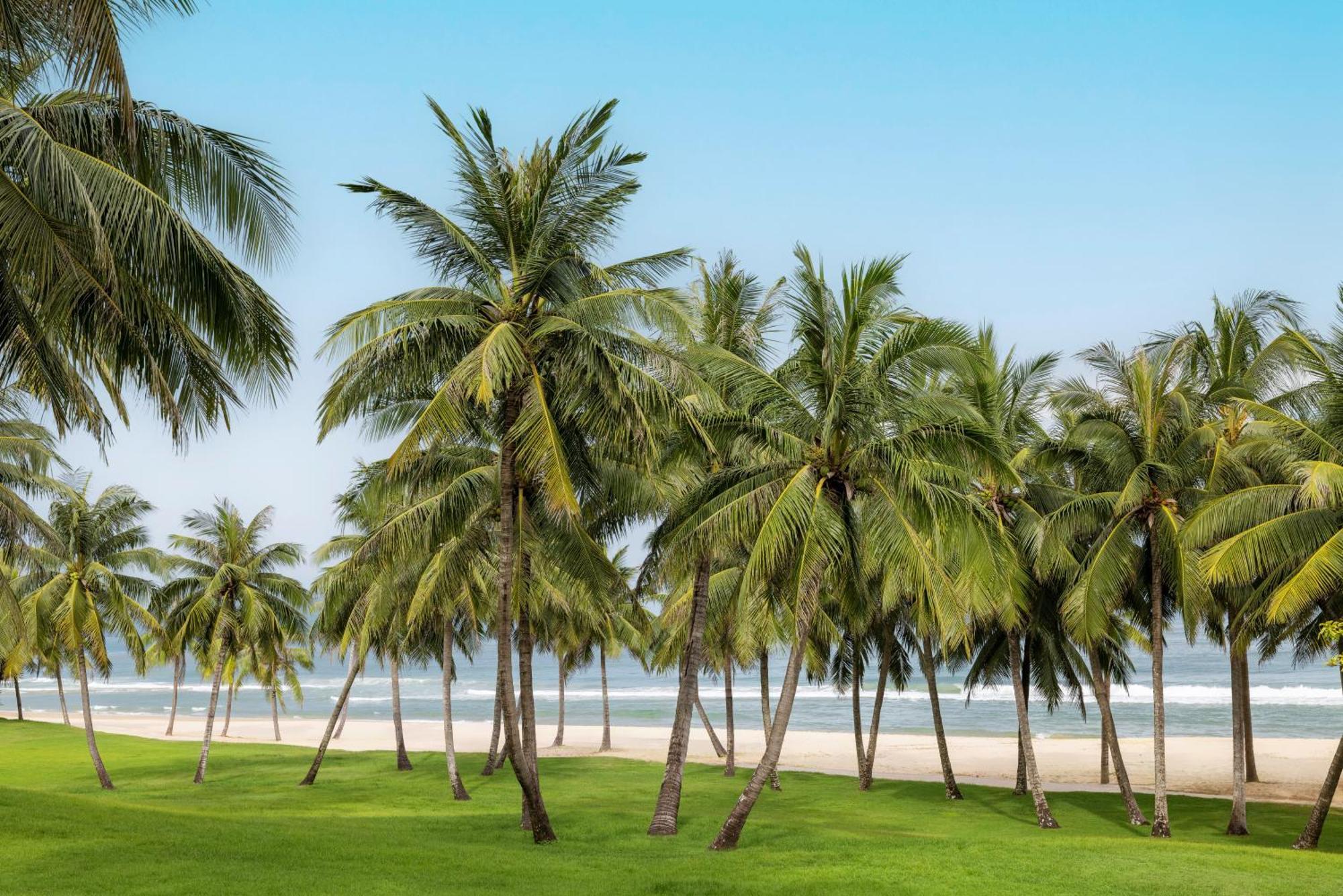 Raffles Hainan Clear Water Bay Lingshui  Eksteriør billede